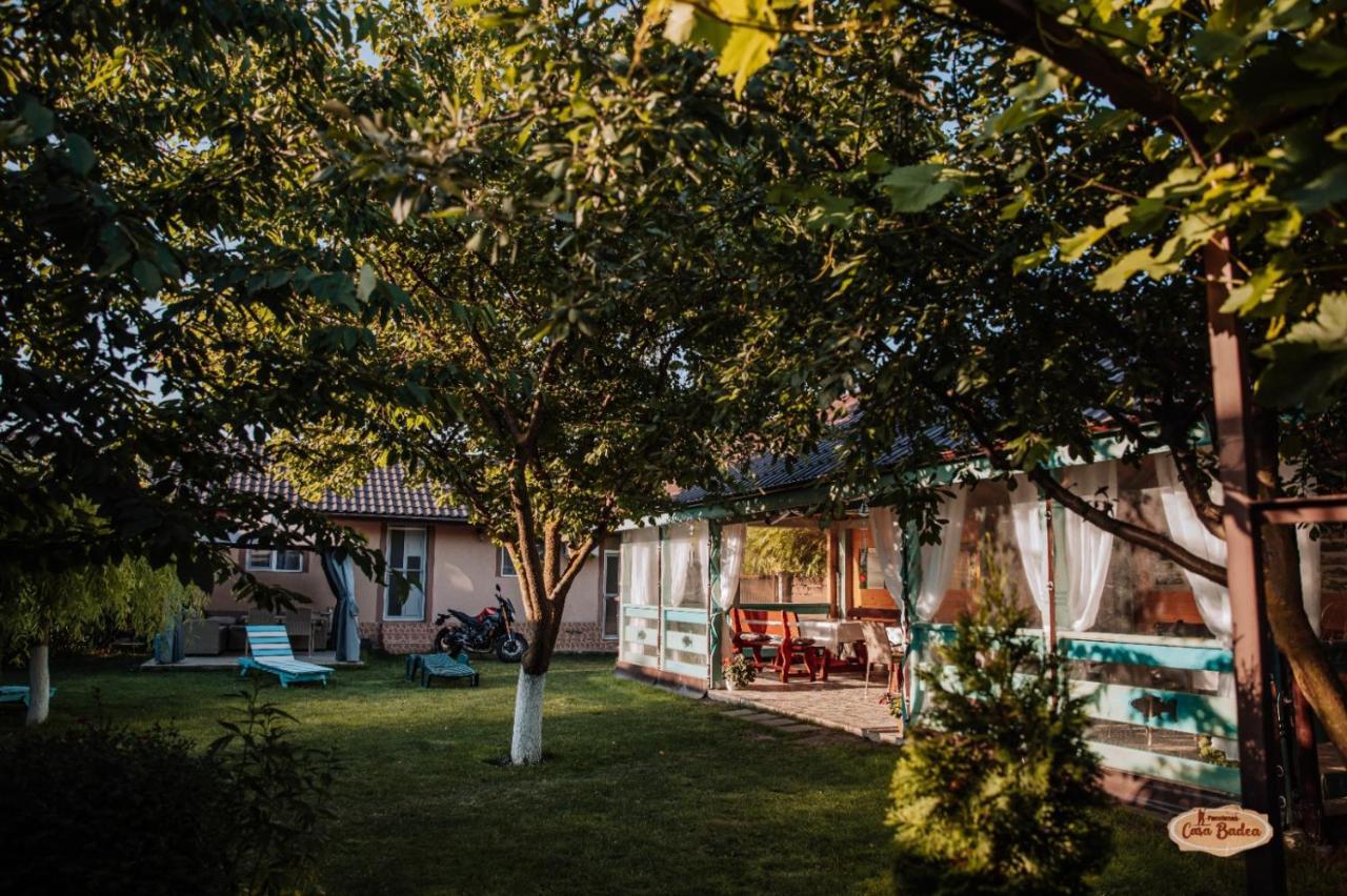 Casa Badea Hotel Murighiol Exterior photo